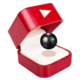 Icon for Pearls of Youtube/